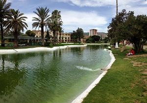 ORAN - JARDIN PUBLIC (1)